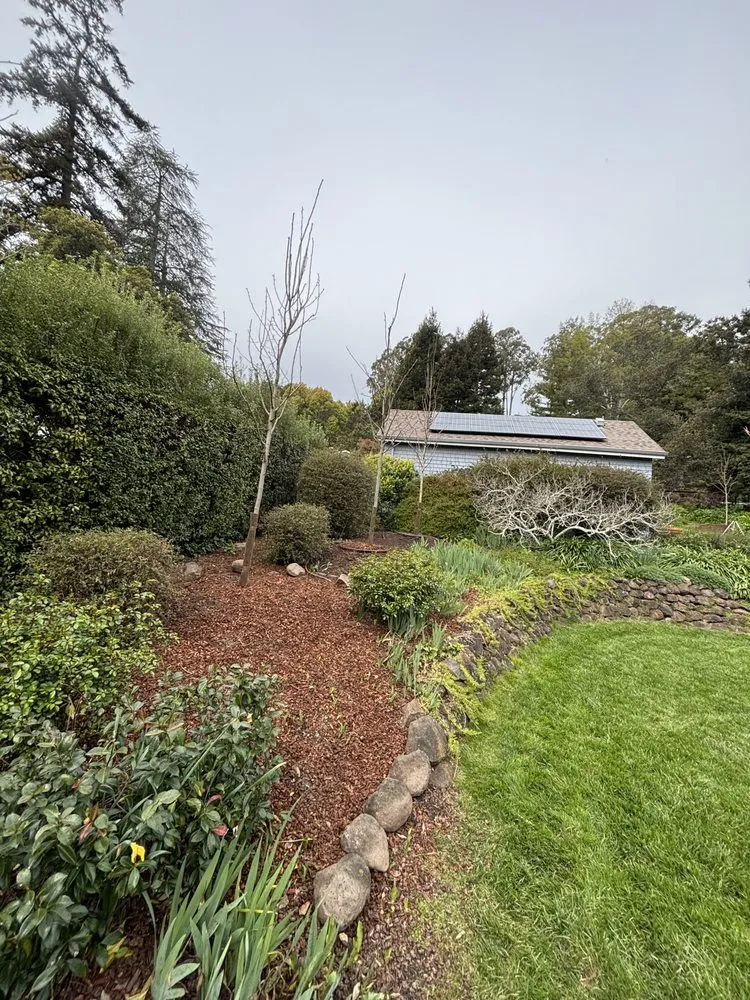 Top-rated yard maintenance in Novato, CA - Avila landscape & irrigation