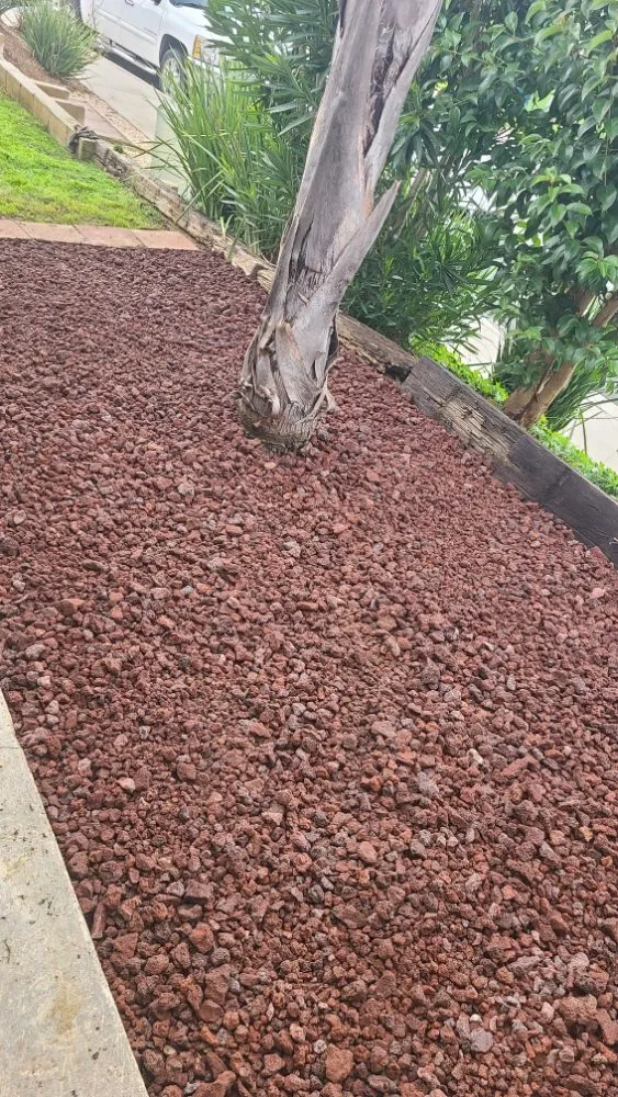 Trusted lawn mowing service in Vista, CA - Avila Landscaping & Maintenance