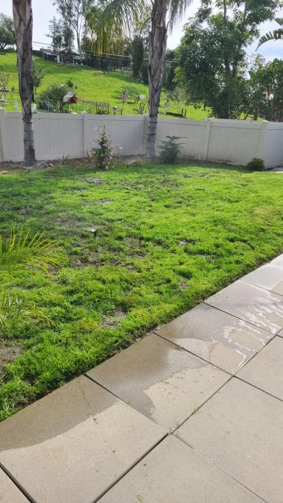 Top-rated lawn mowing service for year-round maintenance across Vista, CA - Avila Landscaping & Maintenance