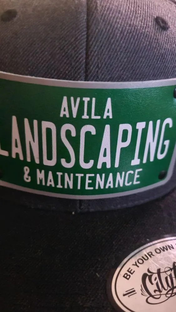 Local residential landscaping with custom design in Vista, CA by Avila Landscaping & Maintenance