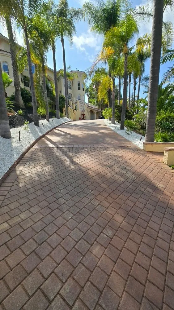 Custom lawn mowing service with custom design across Vista, CA - Avila Landscaping & Maintenance