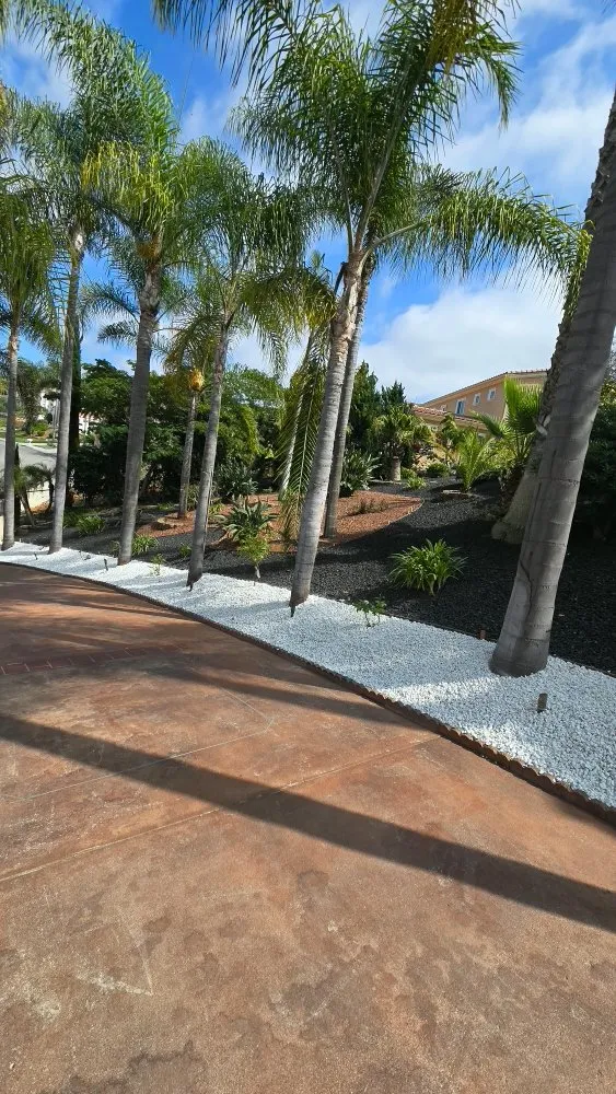 Reliable outdoor landscaping in Vista, CA by Avila Landscaping & Maintenance