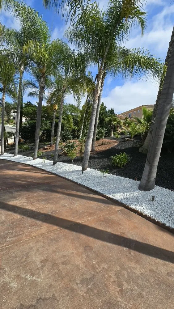 Affordable landscape installation experts serving Vista, CA - Avila Landscaping & Maintenance