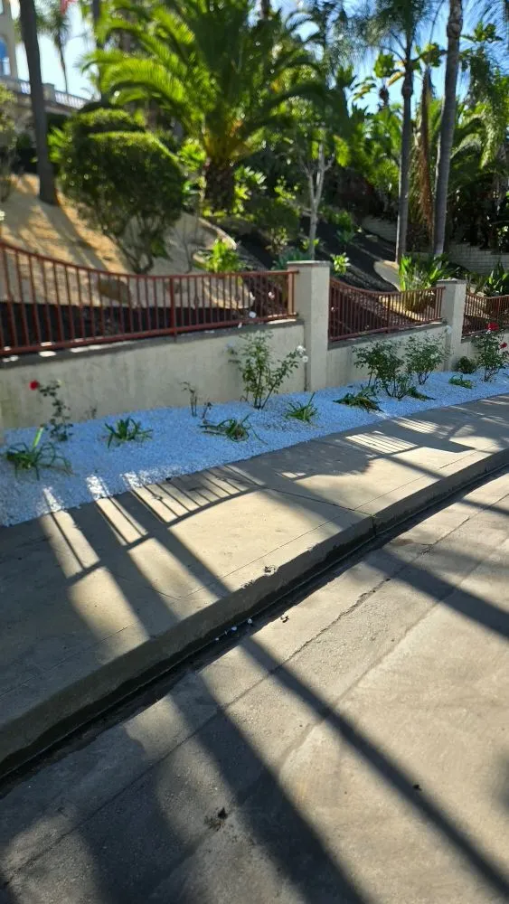 Local yard maintenance in Vista, CA - Avila Landscaping & Maintenance