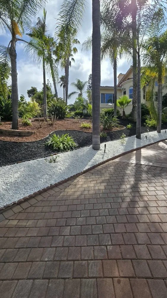 Local lawn care service near you across Vista, CA - Avila Landscaping & Maintenance