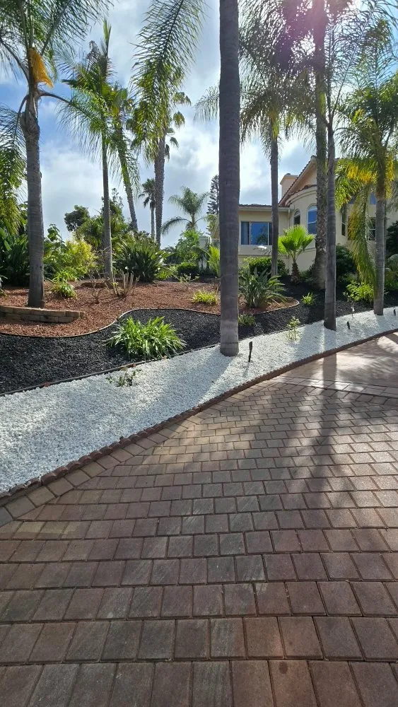 Trusted lawn care service in Vista, CA by Avila Landscaping & Maintenance