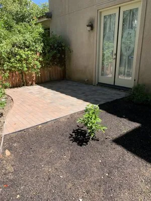 Avila Landscaping & Maintenance Logo