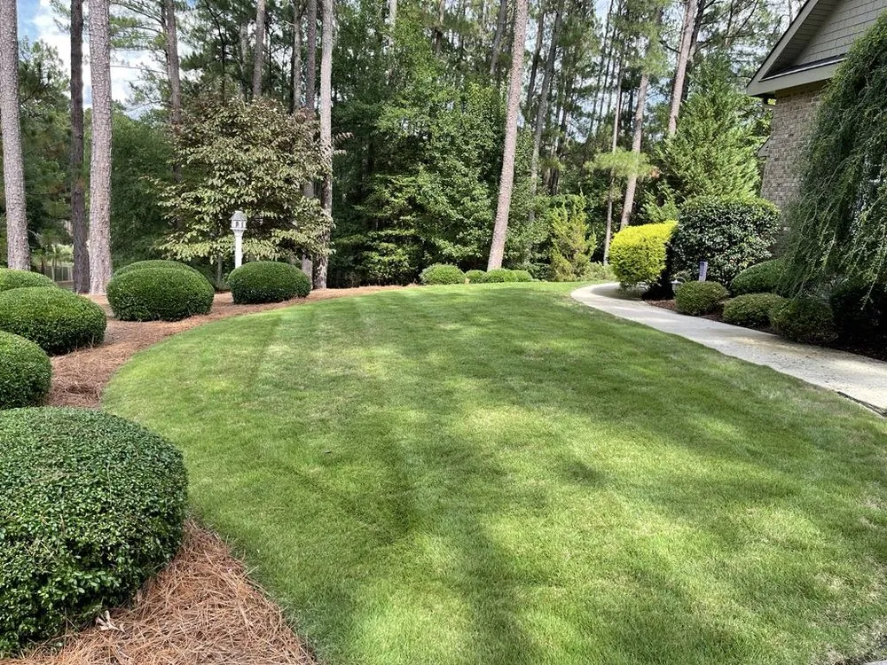 Professional lawn care service experts serving Southern Pines, NC - Avila Landscaping and Handyman Services