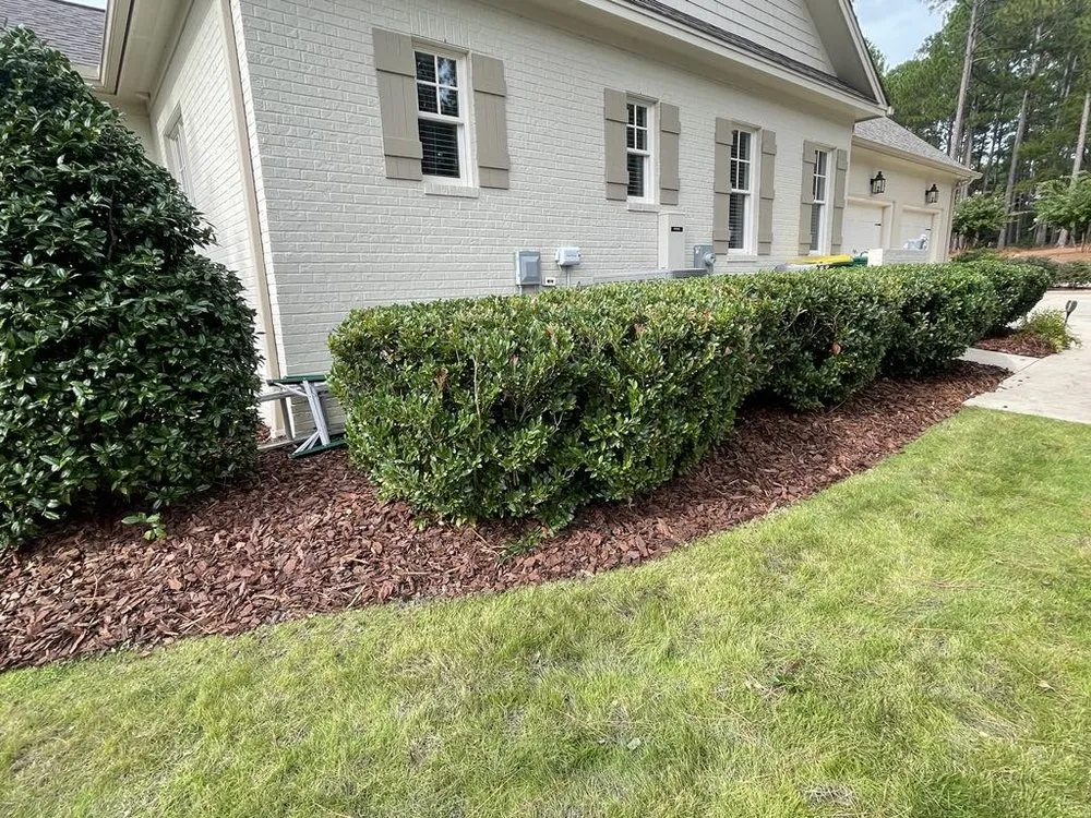 Top-rated lawn care service in Southern Pines, NC - Avila Landscaping and Handyman Services