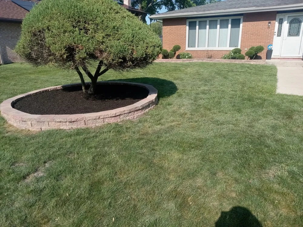 Professional landscape installation for outdoor upgrades in Cicero, IL by Avila Landscaping