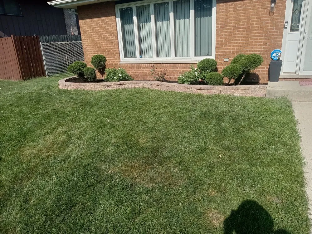 Affordable outdoor landscaping experts serving Cicero, IL - Avila Landscaping