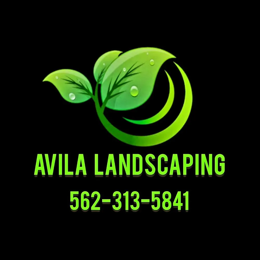 Expert outdoor landscaping experts serving Long Beach, CA - Avila Landscaping