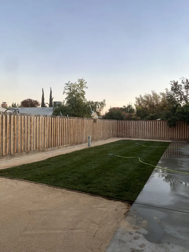 Trusted yard maintenance for residential properties in Porterville, CA by Avila Landscaping