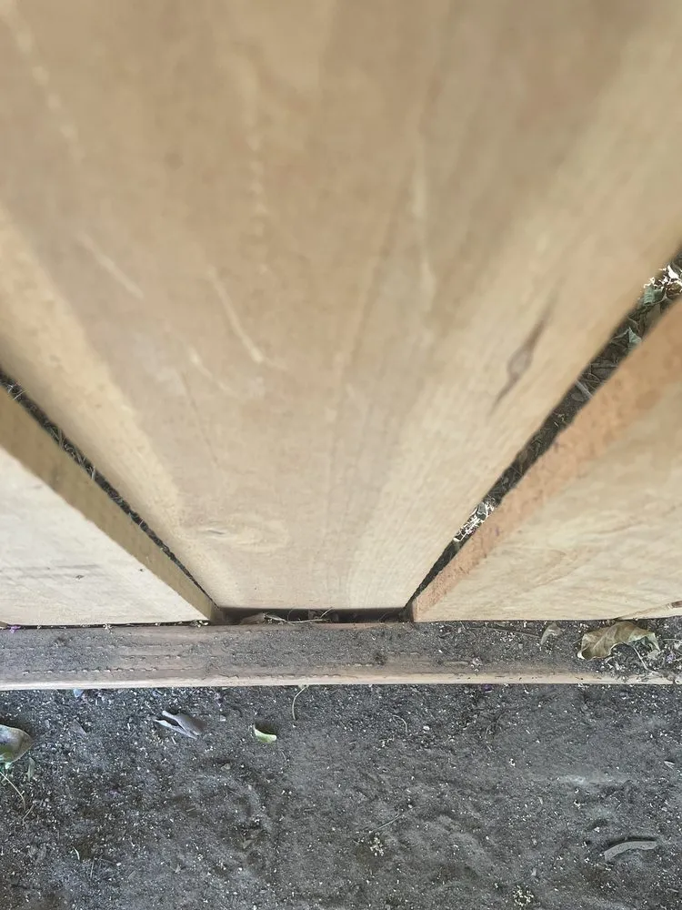 Professional yard maintenance in Porterville, CA by Avila Landscaping