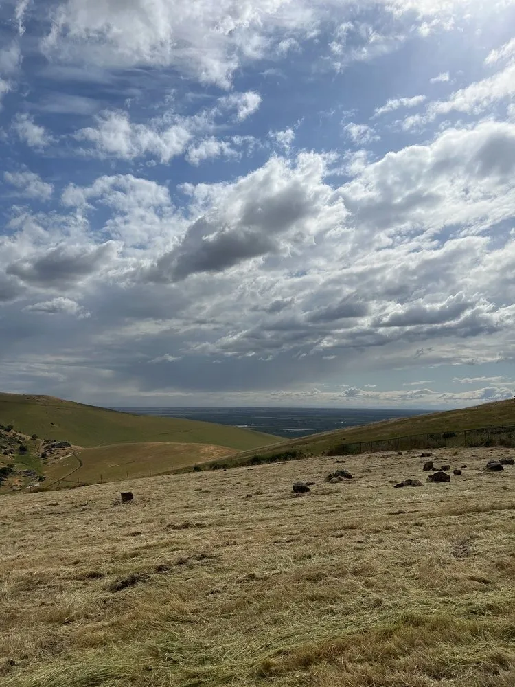 Top-rated landscape design experts serving Porterville, CA - Avila Landscaping