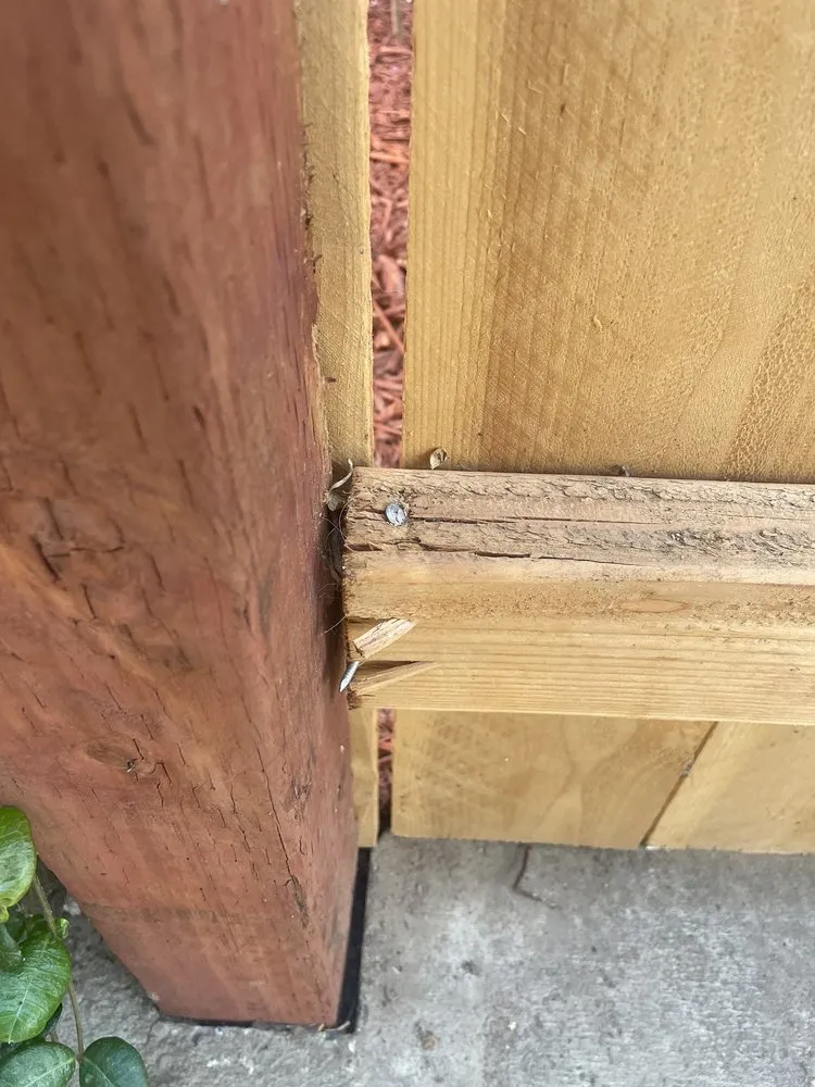 Expert yard maintenance in Porterville, CA by Avila Landscaping