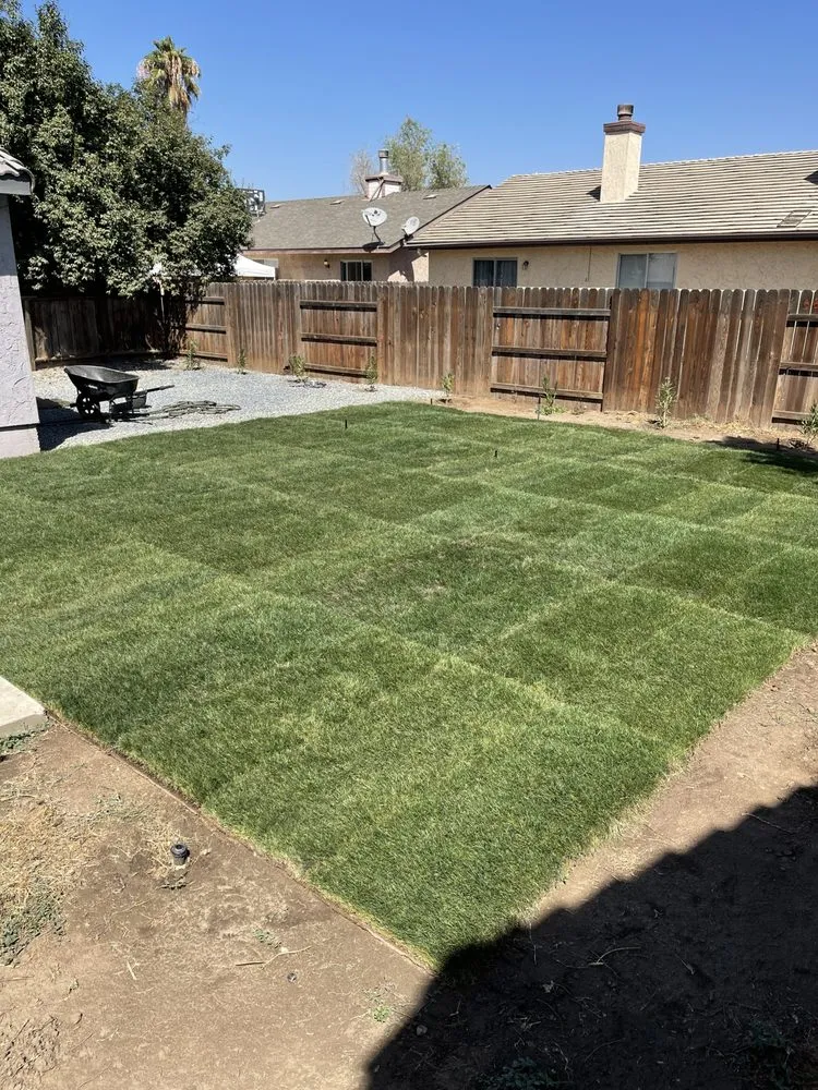 Reliable landscaping services for residential properties in Porterville, CA by Avila Landscaping