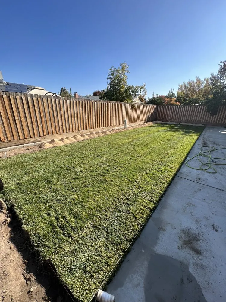 Trusted lawn care service in Porterville, CA - Avila Landscaping