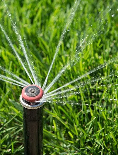 Custom residential landscaping experts serving Edmond, OK - Avila Lawn & Landscaping