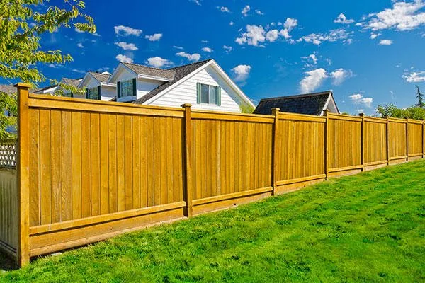 Custom yard cleanup service in Edmond, OK by Avila Lawn & Landscaping