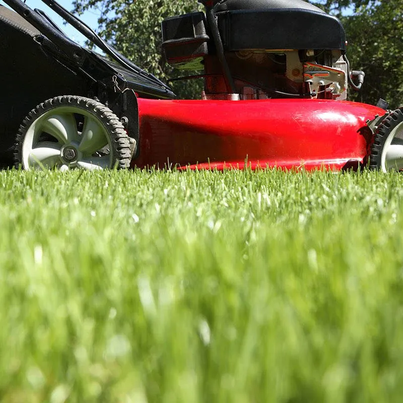 Reliable yard cleanup service in Edmond, OK by Avila Lawn & Landscaping