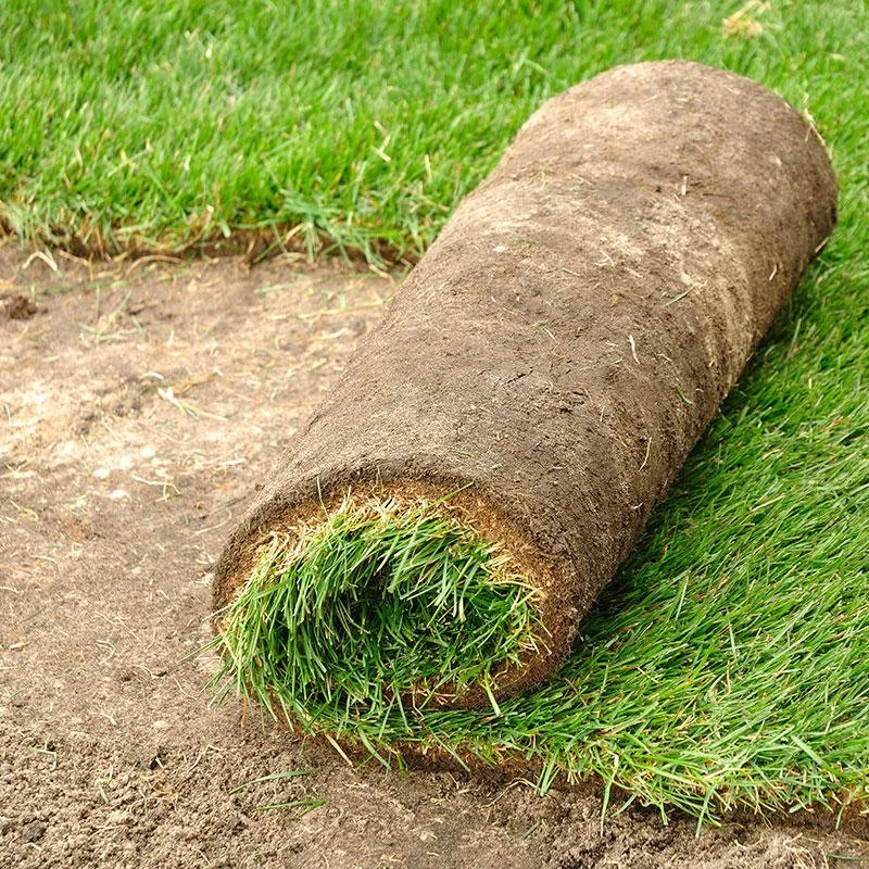 Affordable landscaping services in Edmond, OK - Avila Lawn & Landscaping