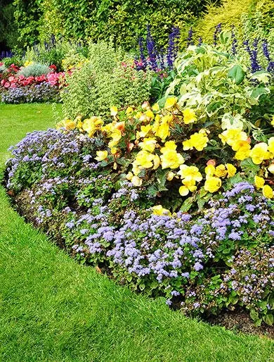 Trusted lawn mowing service for homes in Edmond, OK by Avila Lawn & Landscaping