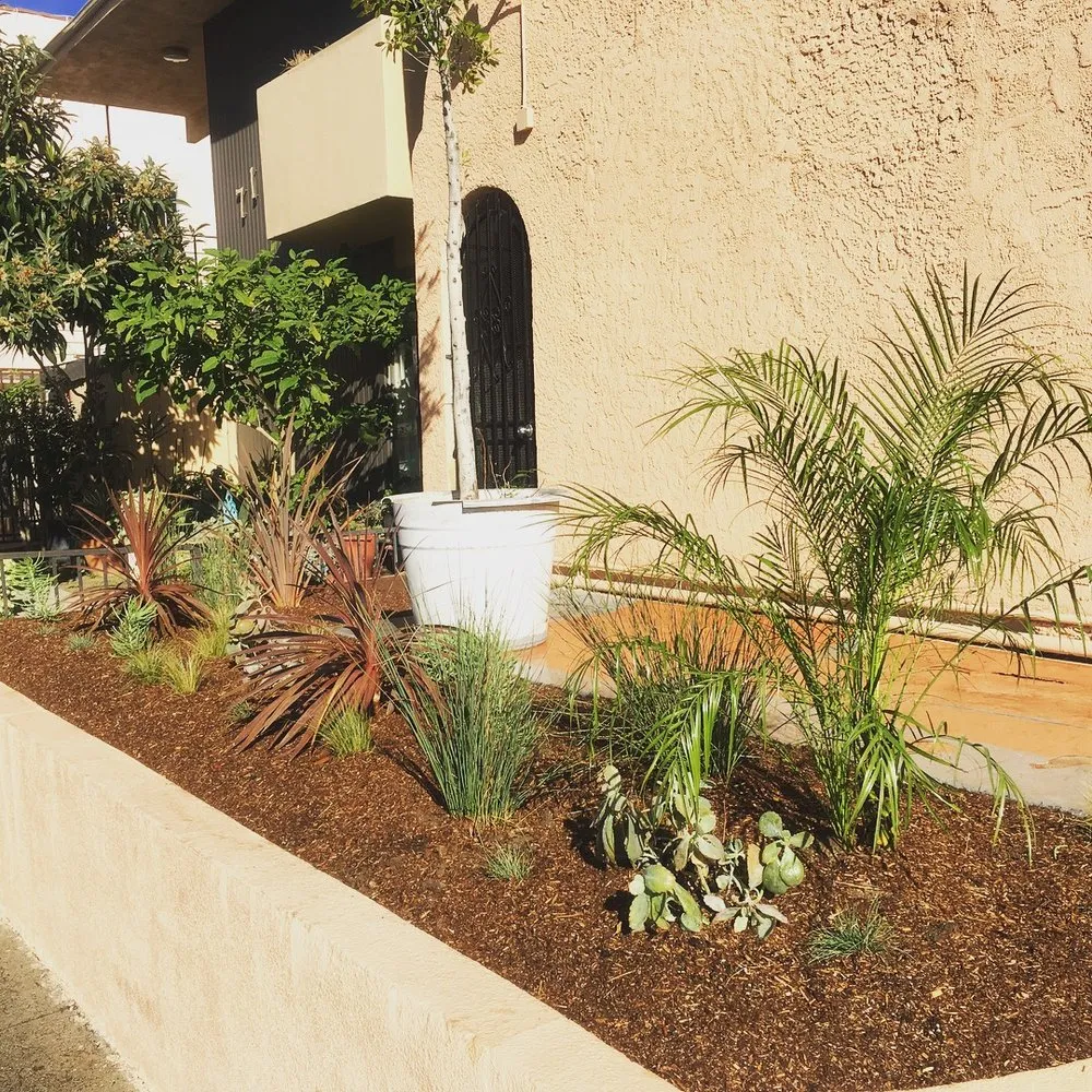 Affordable landscaping services experts serving La Cañada, CA - Avila Services