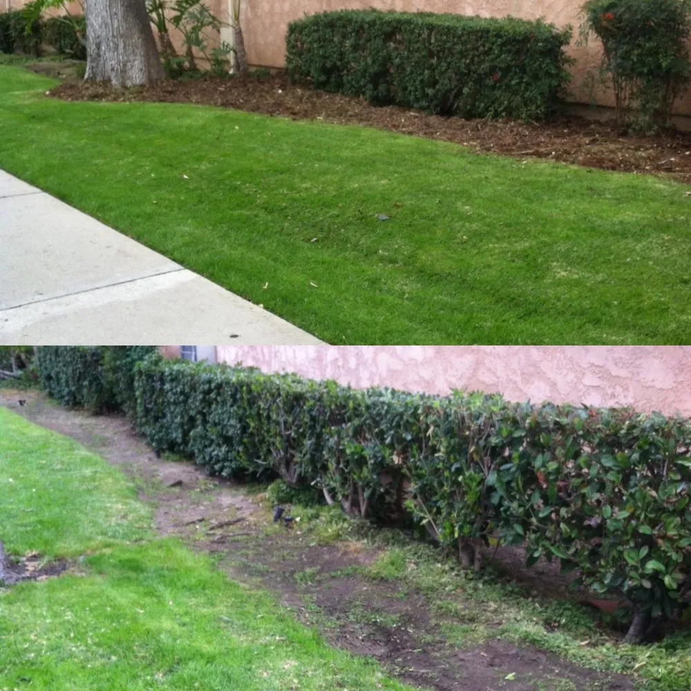 Custom garden landscaping experts serving La Cañada, CA - Avila Services