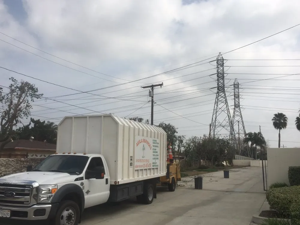 Trusted landscape installation in La Cañada, CA by Avila Services