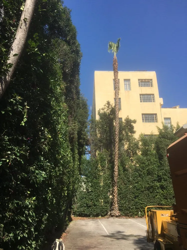 Top-rated lawn mowing service experts serving La Cañada, CA - Avila Services