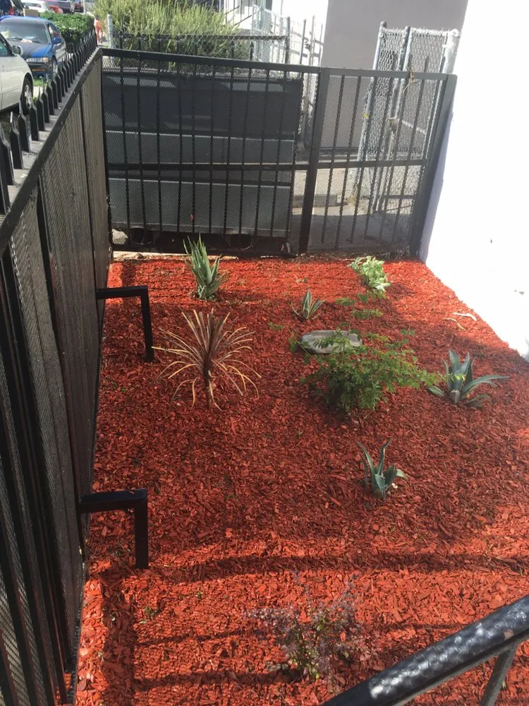 Affordable residential landscaping experts serving La Cañada, CA - Avila Services