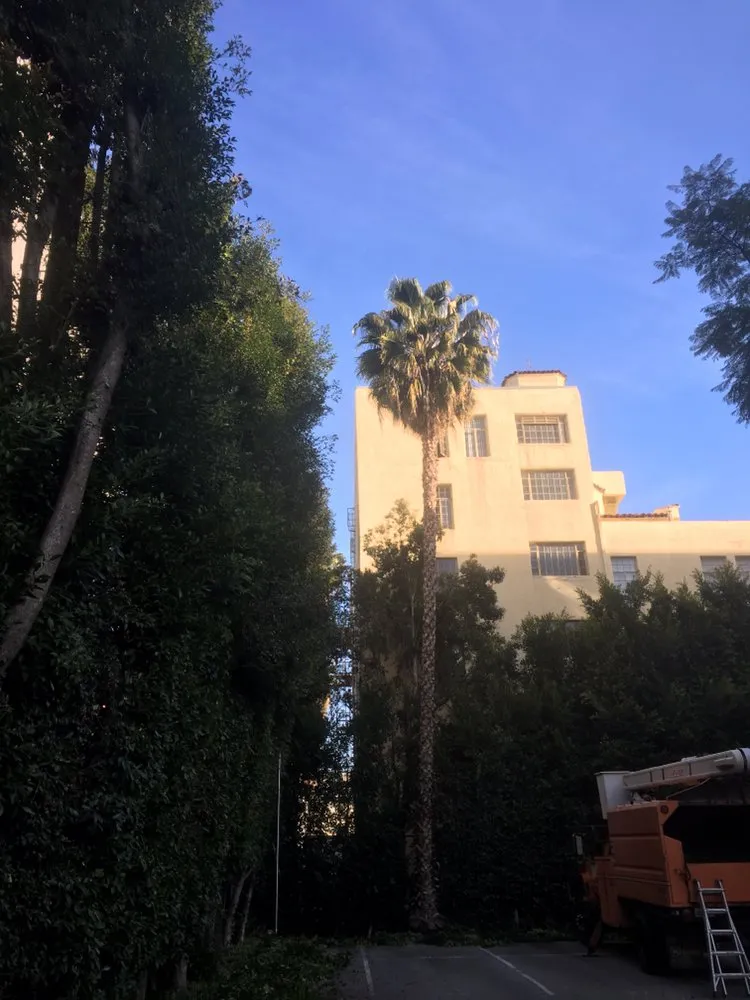 Local landscape design in La Cañada, CA by Avila Services