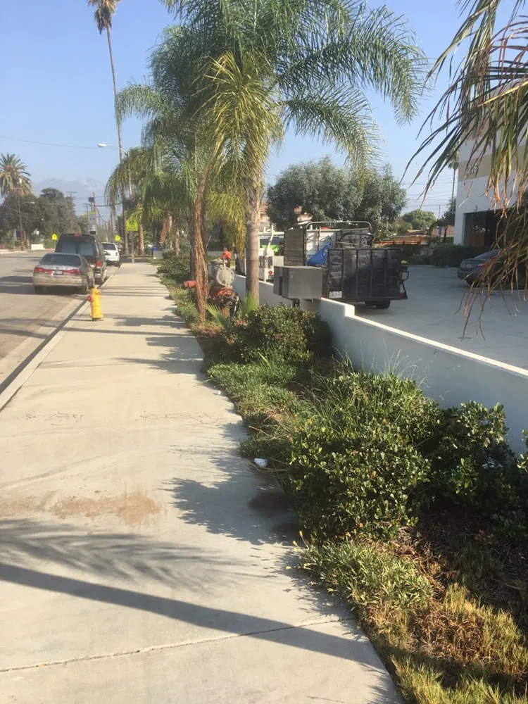 Reliable yard cleanup service with custom design across La Cañada, CA - Avila Services