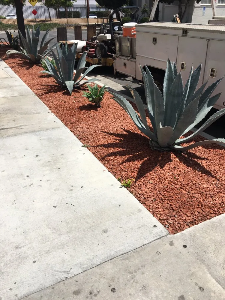 Professional landscaping services for homes across La Cañada, CA - Avila Services