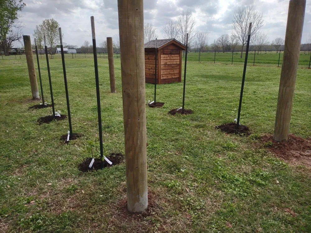 Professional landscaping services experts serving Bossier City, LA - Avila Yard Care