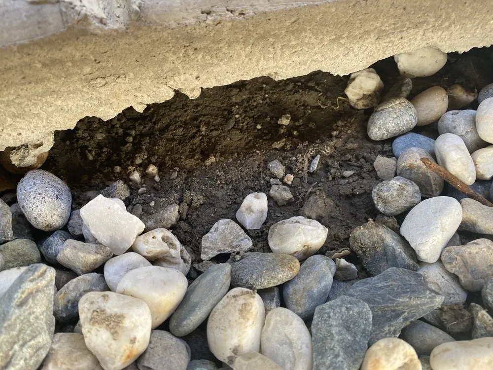 Local yard cleanup service experts serving Stockton, CA - Avila's Construction