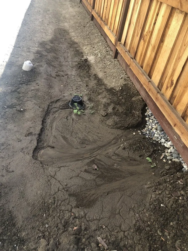 Top-rated landscape installation experts serving Stockton, CA - Avila's Construction