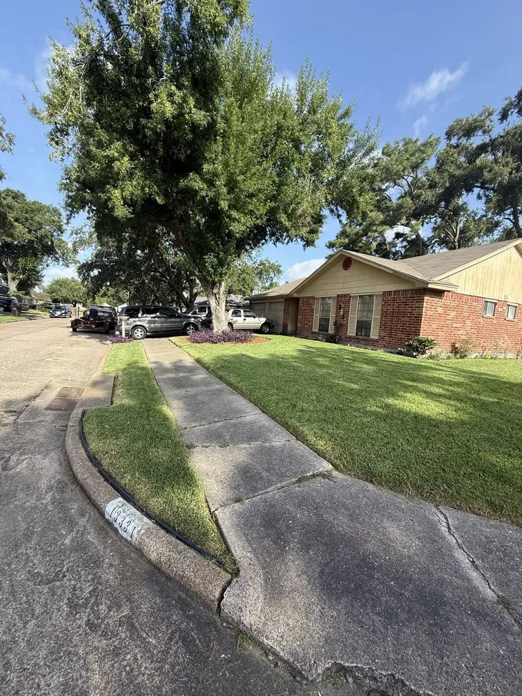 Professional residential landscaping in Houston, TX by Avilas Gardening