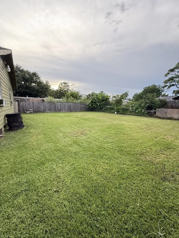 Local yard maintenance for year-round maintenance across Houston, TX - Avilas Gardening