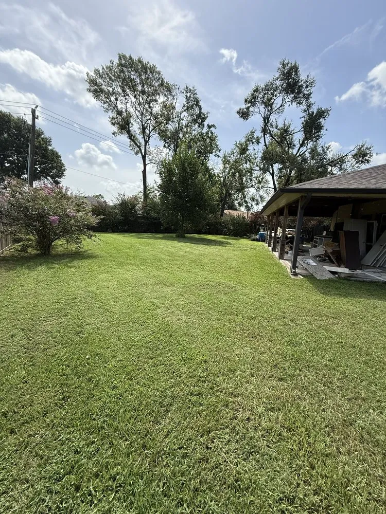 Affordable yard cleanup service in Houston, TX by Avilas Gardening