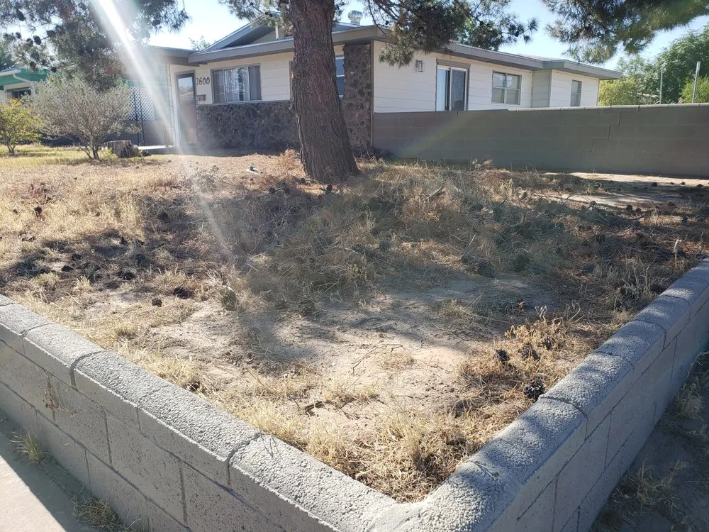Reliable yard maintenance in Las Cruces, NM - Avila's LawnCare