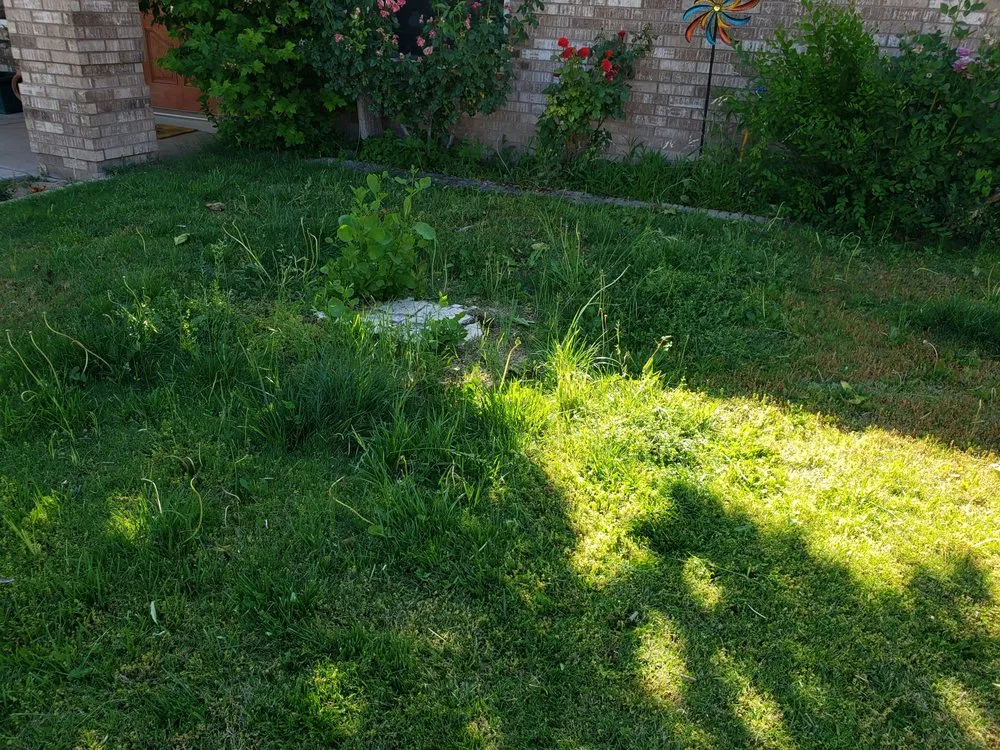 Professional outdoor landscaping experts serving Las Cruces, NM - Avila's LawnCare