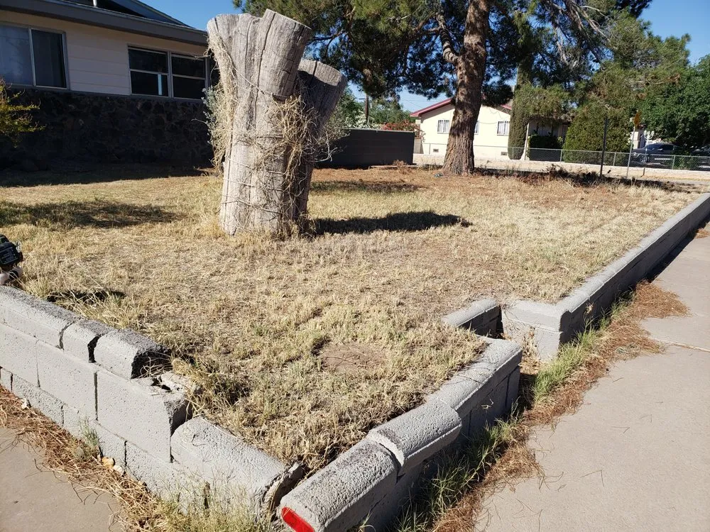 Custom lawn care service experts serving Las Cruces, NM - Avila's LawnCare