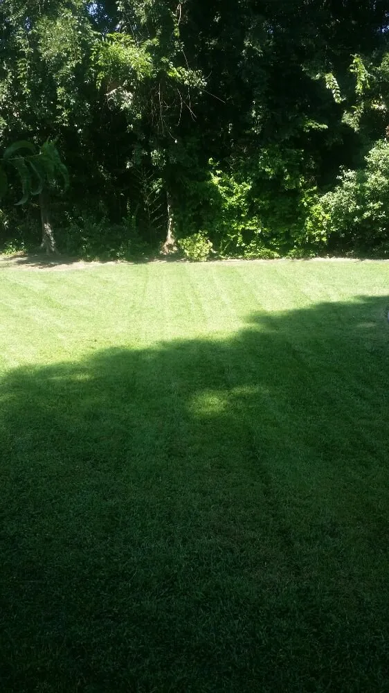 Affordable landscaping services in Fresno, CA by Avila's Maintenance and Lawncare