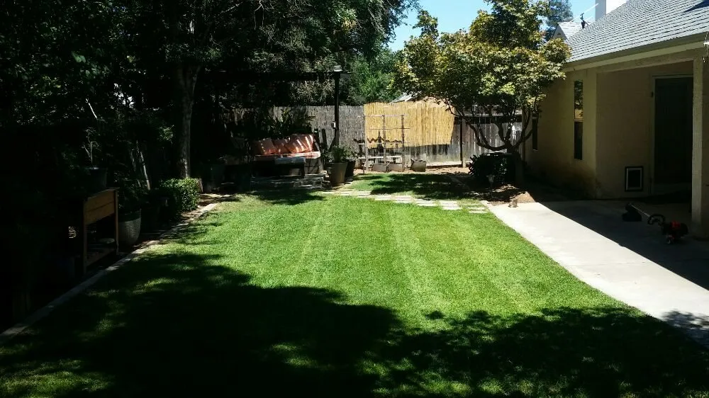 Custom lawn mowing service experts serving Fresno, CA - Avila's Maintenance and Lawncare