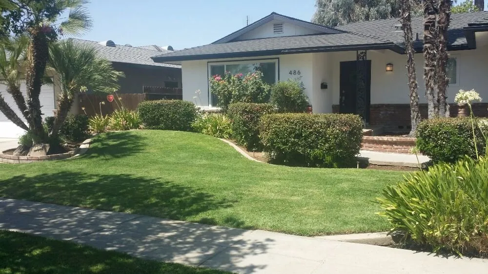 Affordable yard cleanup service for homes across Fresno, CA - Avila's Maintenance and Lawncare