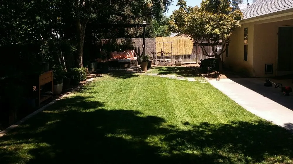Local residential landscaping in Fresno, CA by Avila's Maintenance and Lawncare