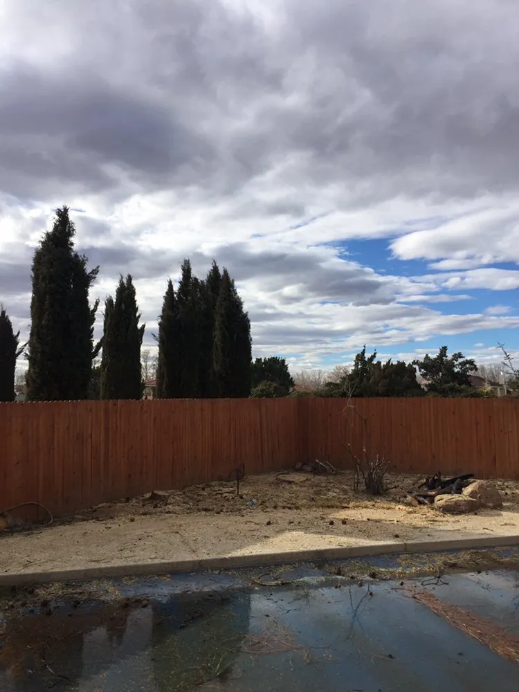 Affordable yard cleanup service in Albuquerque, NM - Avila’s Pool Service & Landscaping