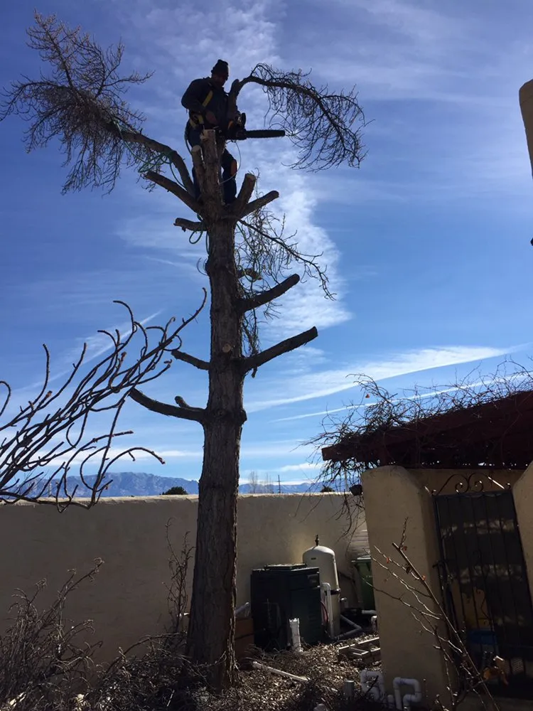 Custom lawn mowing service for homes in Albuquerque, NM by Avila’s Pool Service & Landscaping